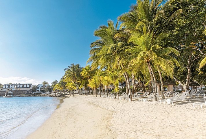 The Ravenala Attitude