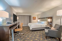 Holiday Inn New Orleans - Downtown Superdome - Wohnbeispiel Standard (Zimmercodierung UG1)