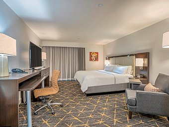 Holiday Inn New Orleans - Downtown Superdome - Wohnbeispiel Standard (Zimmercodierung UG1)