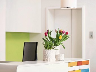 Creatif Hotel Elephant