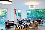 Hotel Saline
