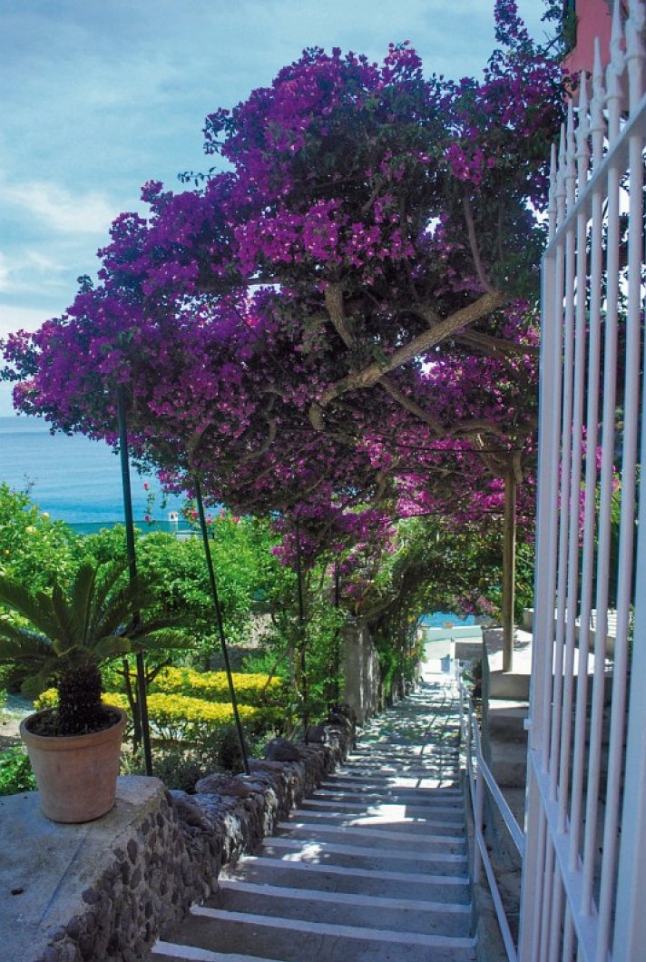Casa Rosa Terme
