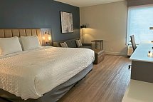 Best Western Plus Meadowlands Secaucus - Wohnbeispiel Standard, 1 King Sofabed (Zimmercodierungen UG1 & UG2)