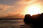 Sheraton Maui Resort & Spa