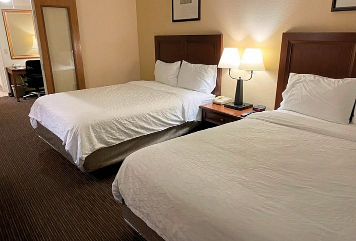 Holiday Inn Express & Suites Scottsdale - Old Town - Wohnbeispiel Standard Room