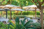 Finca Ca's Curial