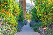 Finca Ca's Curial