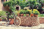 Finca Ca's Curial