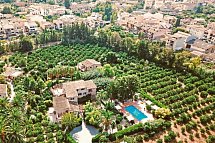 Finca Ca's Curial