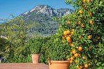 Finca Ca's Curial