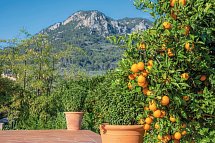 Finca Ca's Curial