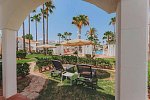 Garden Saladina