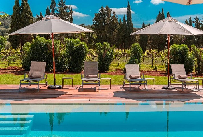 Finca Agroturismo Es Mayolet