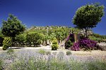 Finca Ca N'Ai Bio Retreat