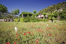 Finca Ca N'Ai Bio Retreat