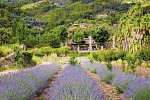 Finca Ca N'Ai Bio Retreat
