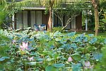 Novotel Phu Quoc Resort