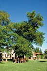 Agriturismo Le Piane del Milia