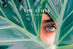 The Sense Experience Resort