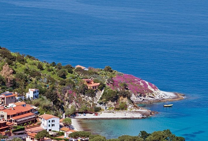 Barsalini