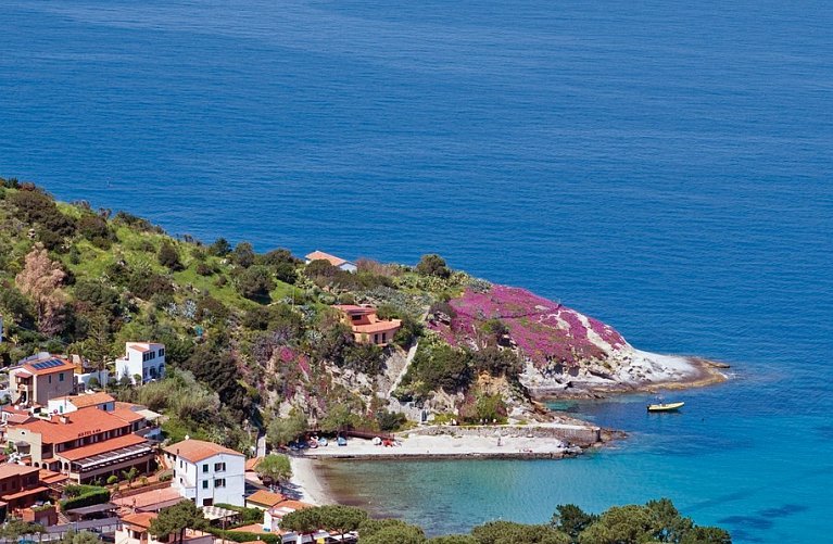 Barsalini