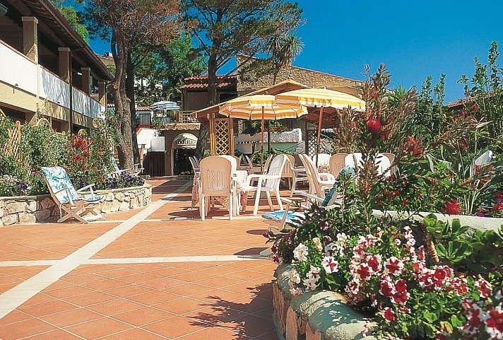 Barsalini