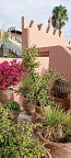 Riad Ifoulki