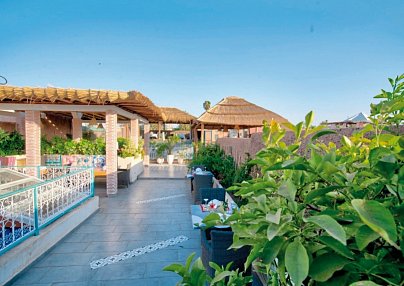 Riad Les Oliviers Marrakesch