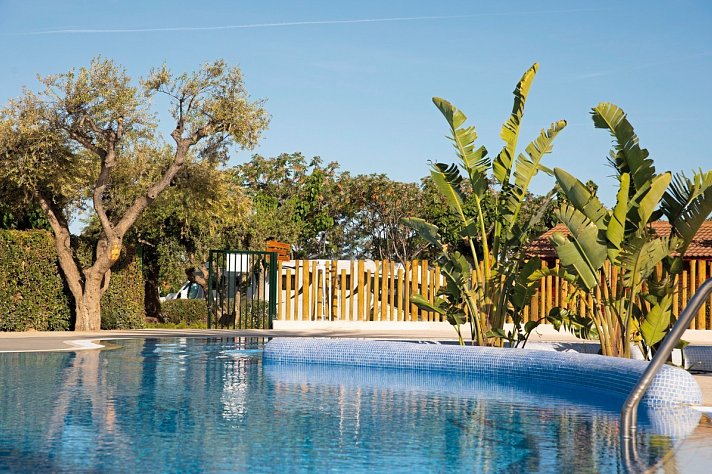 Camping La Llosa