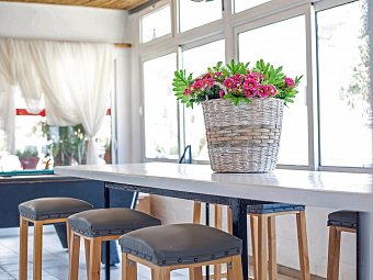 Tinas Plus Hotel