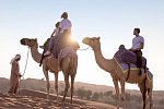 The Ritz-Carlton Ras Al Khaimah, Al Wadi Desert