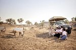 The Ritz-Carlton Ras Al Khaimah, Al Wadi Desert