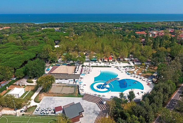 Adriano Family Collection