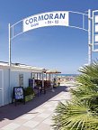 Cormoran