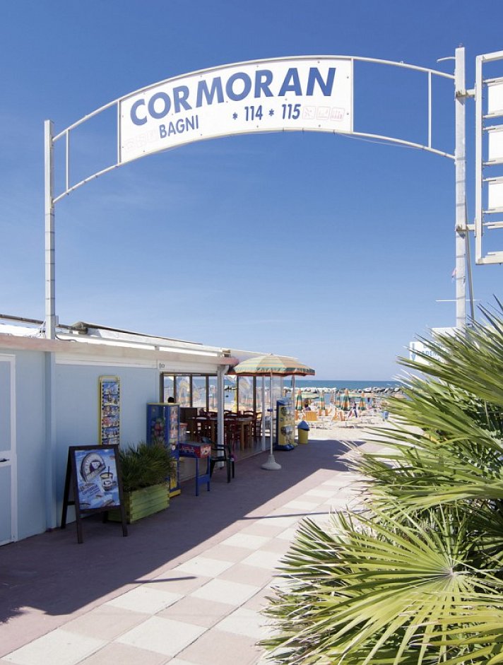 Cormoran