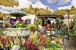 The Marcella Royal Hotel - Rooftop Garden