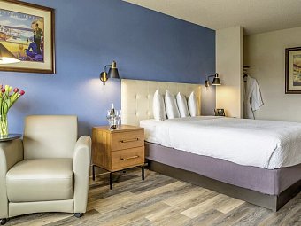 Hotel Focus - Wohnbeispiel Standard Queen (Zimmercodierung UG2)
