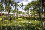 Barceló Tambor