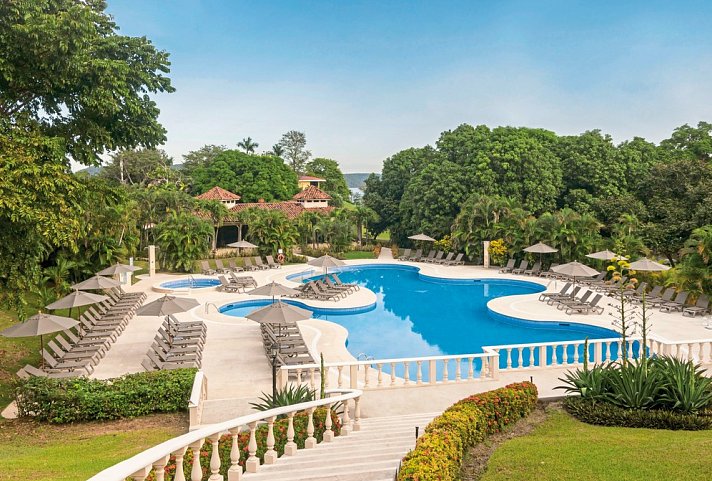 Occidental Papagayo