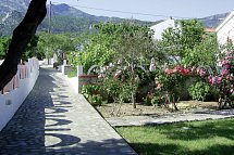Edem
