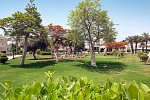 Swiss Inn Resort Dahab