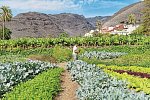 Jardín Tecina