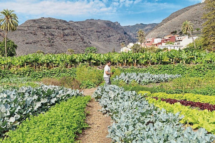 Jardín Tecina