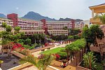 Best Jacaranda