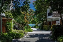 Celes Samui