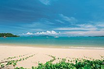 Celes Samui