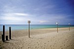 The Hive Hotel
