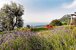 Lefay Resort & SPA Lago di Garda