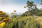 Lefay Resort & SPA Lago di Garda