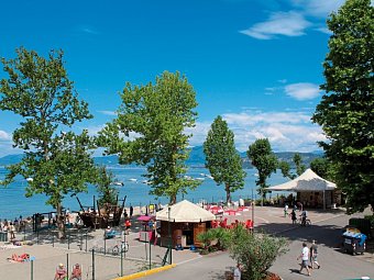Camping Cisano & San Vito